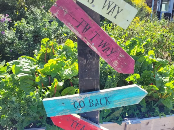 THIS WAY – THAT WAY
